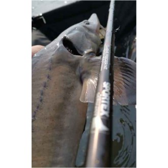 Sportex Xclusive Medium Heavy Feeder NT