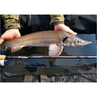 Sportex Xclusive Medium Heavy Feeder NT