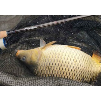Sportex Xclusive Medium Heavy Feeder NT