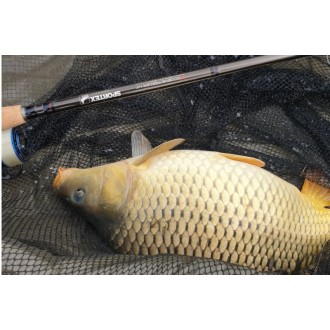 Set.Sportex Xclusive feeder MF 3618+Shimano AEROBBC5000