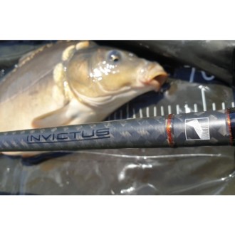 Set:Sportex Invictus 12ft/3lb + Shimano ULT14000XSE