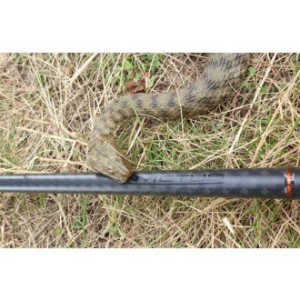 Set:Sportex Invictus 12ft/3lb + Shimano ULT14000XSE
