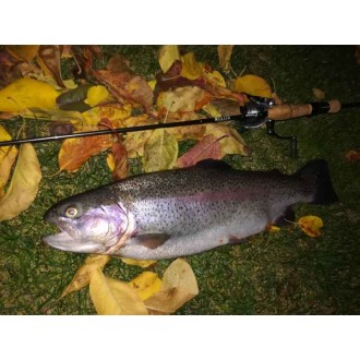 Přívlačové pruty Sportex Mystix Trout UL 2-díl