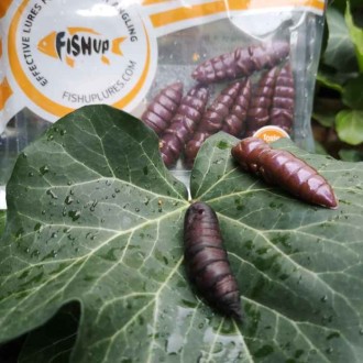Dipované umělé nástrahy FishUP Pupa 23mm 12ks