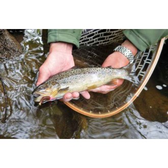 Dipované umělé nástrahy FishUP Tanta 63mm 8ks