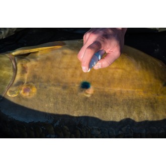 LK Baits desinfekce Carp-Clinic 30 ml