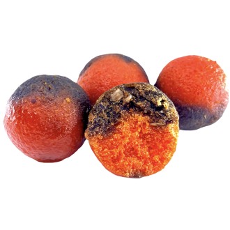 LK Baits DUO X-Tra Boilies Sea Food/Compot NHDC 18mm, 1kg