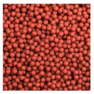 LK Baits IQ Method Feeder Boilies 10-12mm, 600g pikantní broskev/Spicy Peach