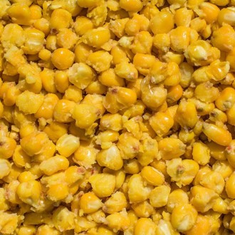 LK Baits IQ Method Feeder Corn 1kg Natural