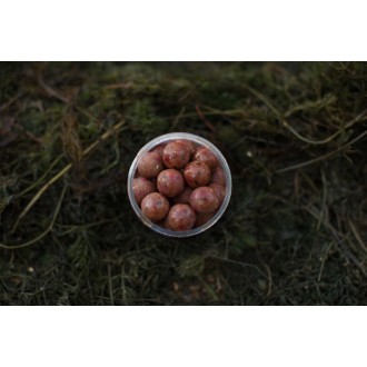 LK Baits Fresh Boilies Restart Mussel 14mm 150ml