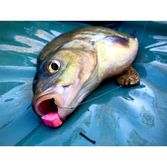 LK Baits CUC! Ananas 40g