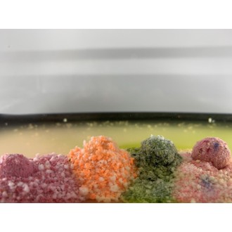 LK Baits Fish Activ Plus Wild Strawberry 18mm, 1kg