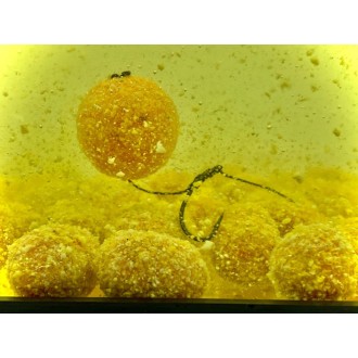 LK Baits Nutrigo FEED-EX Honey Corn 800g, 20 mm
