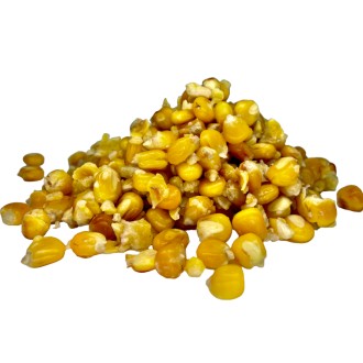 LK Baits Kukuřice vařená Natur 1kg