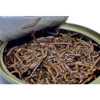 LK Baits Natur Canned Bloodworms 100g