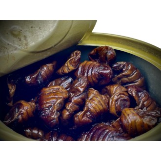LK Baits Natur Canned Silkworm 35g