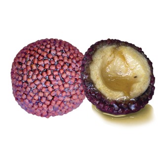 LK Baits Nutrigo Pellets Chilli Halibut, 200ml, 20mm