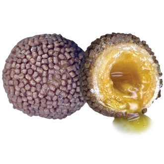 LK Baits Nutrigo Pellets Romadur Halibut, 250ml, 24mm