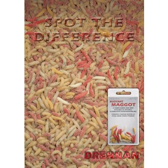 Drennan červi Buoyant Maggot natural