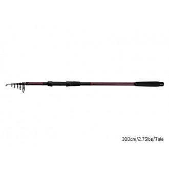 Prut Delphin Taiga NXT 3,60m 3,0lb
