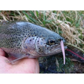 Lucky John Salt Worm 2" S30