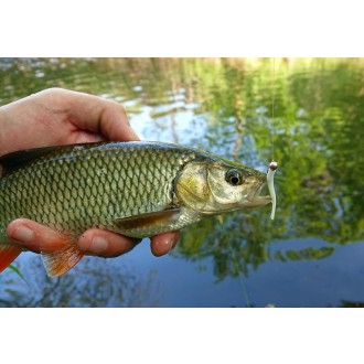 Lucky John Salt Worm 2" S30