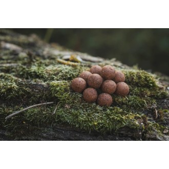 Boilies Dk Fishing Power Attract 24mm 5kg