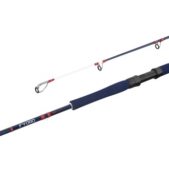 Prut Delphin Fyord BigBoat 2,20m 300-400g