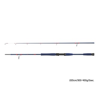 Prut Delphin Fyord BigBoat 2,20m 300-400g