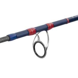 Prut Delphin Fyord BigBoat 2,20m 300-400g