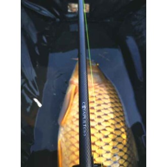 Kaprové pruty Sportex Catapult CS-3 Carp 2-díl - 2ks: 12ft 3,00lbs, 366cm M80
