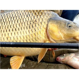 Kaprové pruty Sportex Catapult CS-3 Carp 2-díl - 2ks: 12ft 3,00lbs, 366cm M80