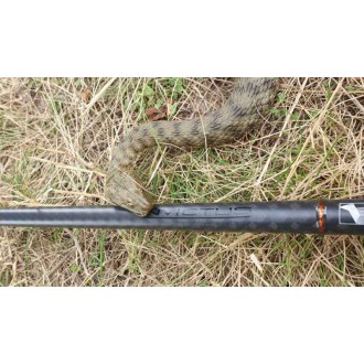 Kaprové pruty SPORTEX Invictus Carp, 2 díl - 2ks: 12ft 2,75lbs M80