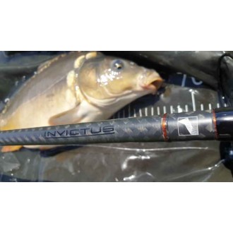 Kaprové pruty SPORTEX Invictus Carp, 2 díl - 2ks: 12ft 2,75lbs M80