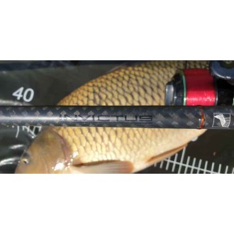 Kaprové pruty SPORTEX Invictus Carp, 2 díl - 2ks: 12ft 2,75lbs M80