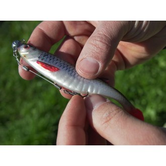 DuoPACK BOX Delphin Realix 3D / 6 x 2ks 13cm / Minnow