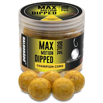 Haldorádó Boilies Dipped Max Motion 80g 20mm Champion corn