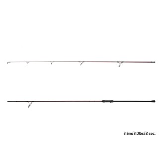 10+1 - Delphin ETNA LEGEND4RY 2,7m/2,75lbs/2 díly