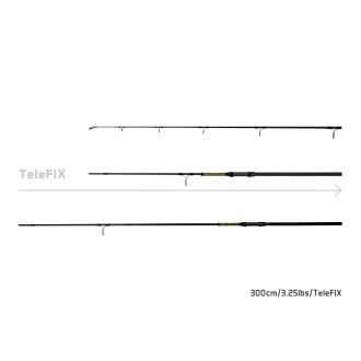 10+1 - Delphin STALX 300cm/3.25lbs/TeleFIX