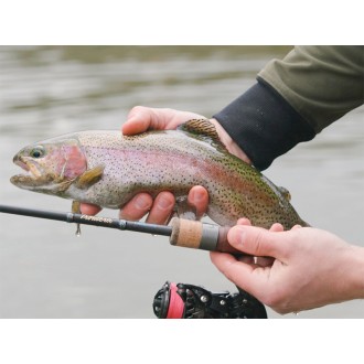 Delphin TROUTERA HardLure 210cm/2-7g/2 díly