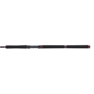 Squadron III Catfish Allround 2,70 m 100-300 g