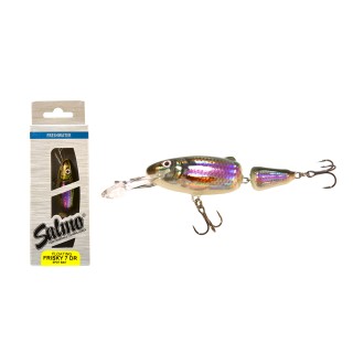 Salmo Frisky