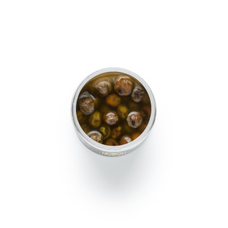 Nakládaný tygří ořech Mivardi Tiger Nut Coloured 250ml