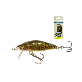 SALMO BULLHEAD