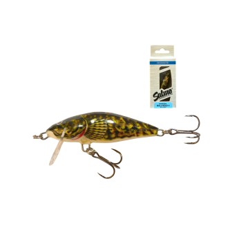 SALMO BULLHEAD