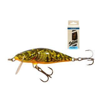 SALMO BULLHEAD