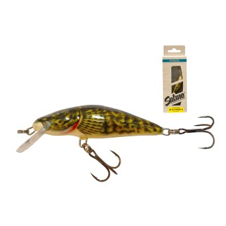 SALMO BULLHEAD