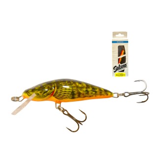 SALMO BULLHEAD