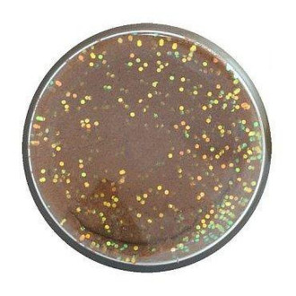 Těsto Berkley PowerBait® Trout Bait Natural Glitter 50g