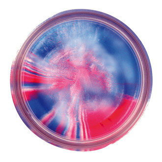 Pstruhové těsto Berkley PowerBait® Trout Bait Natural Glitter Garlic 50g